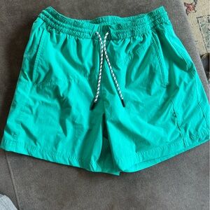 Medium Chubbies 5.5” Inseam Swim Trunks